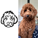CUSTOM DRAWING