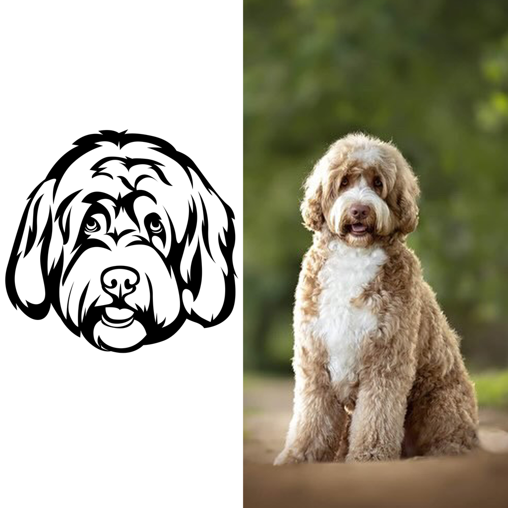CUSTOM DRAWING