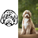 CUSTOM DRAWING