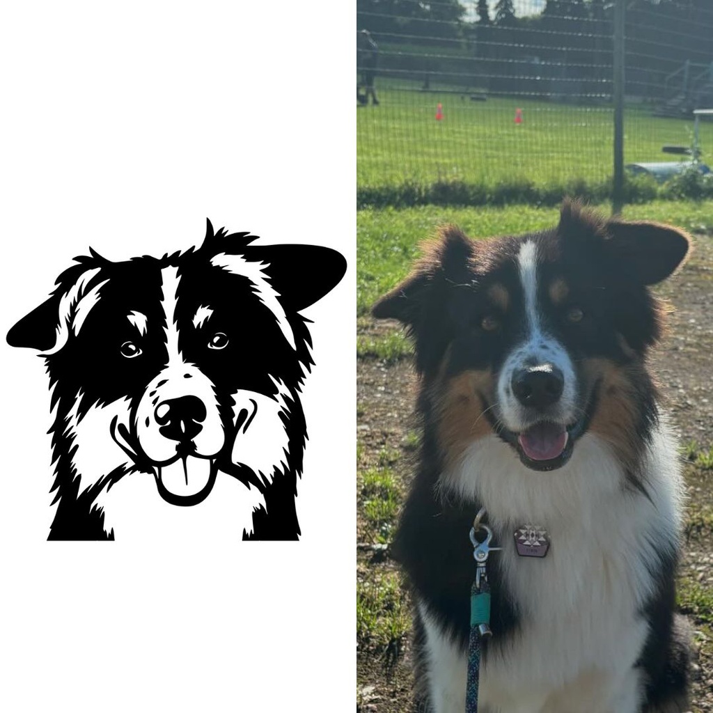 CUSTOM DRAWING