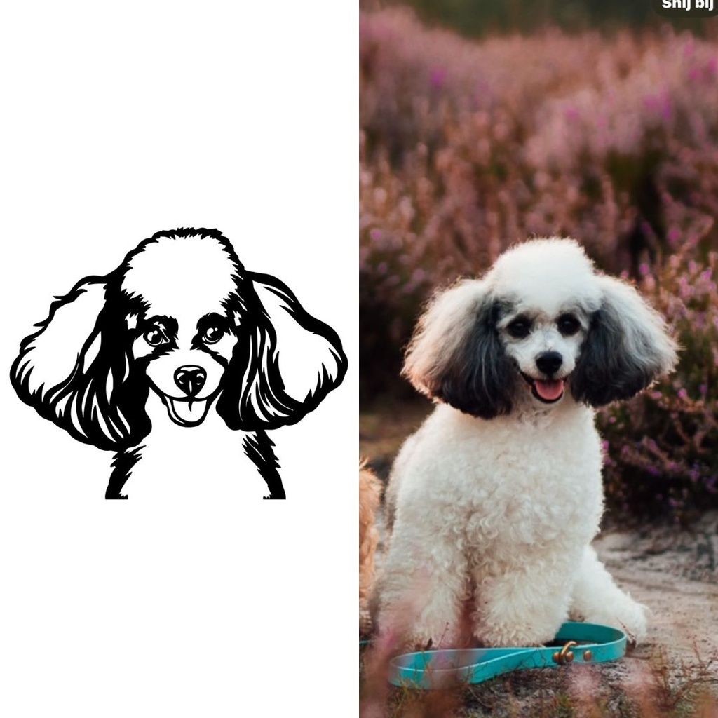 CUSTOM DRAWING