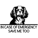 ALERT STICKER