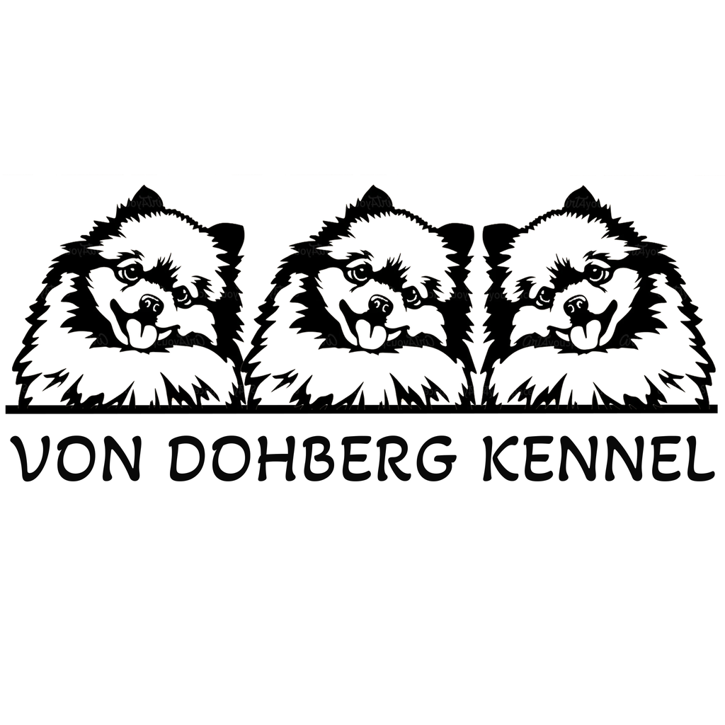 CUSTOM TEXT STICKER
