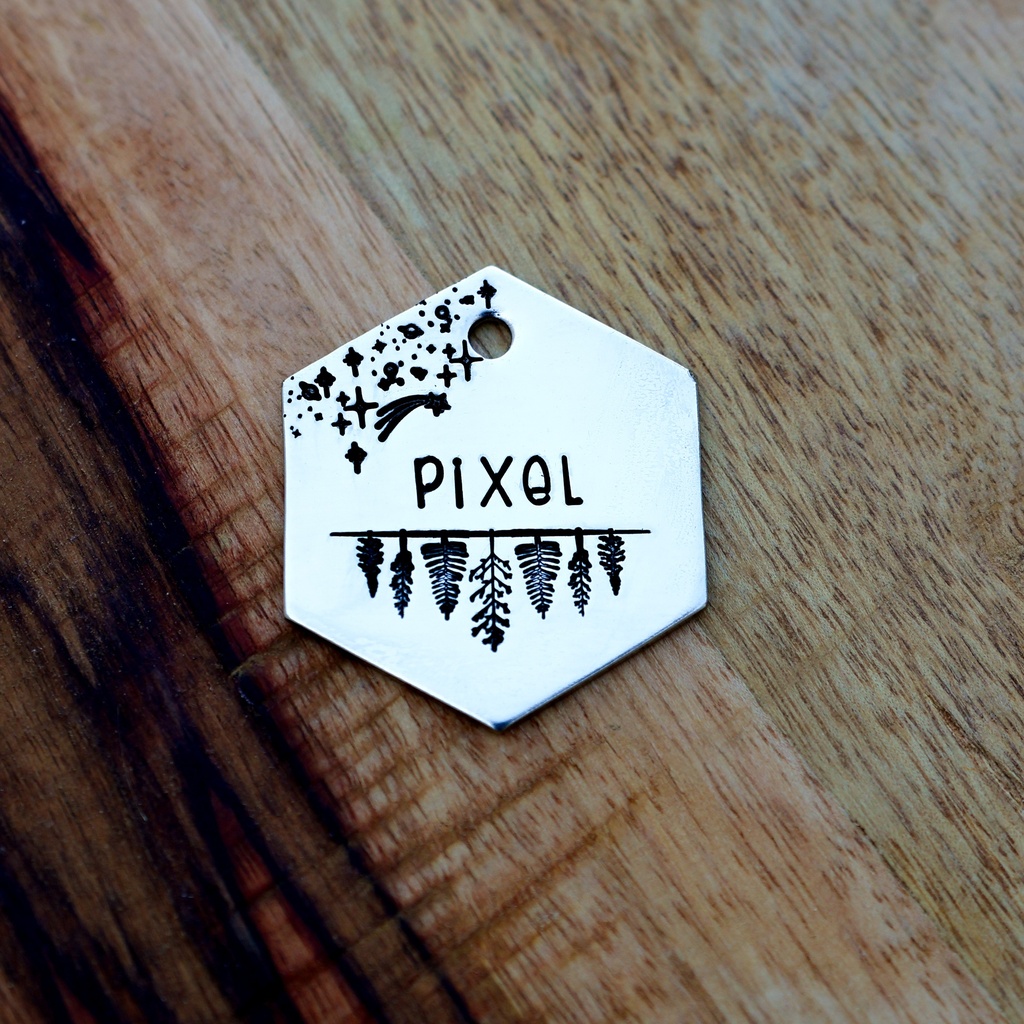 PIXEL