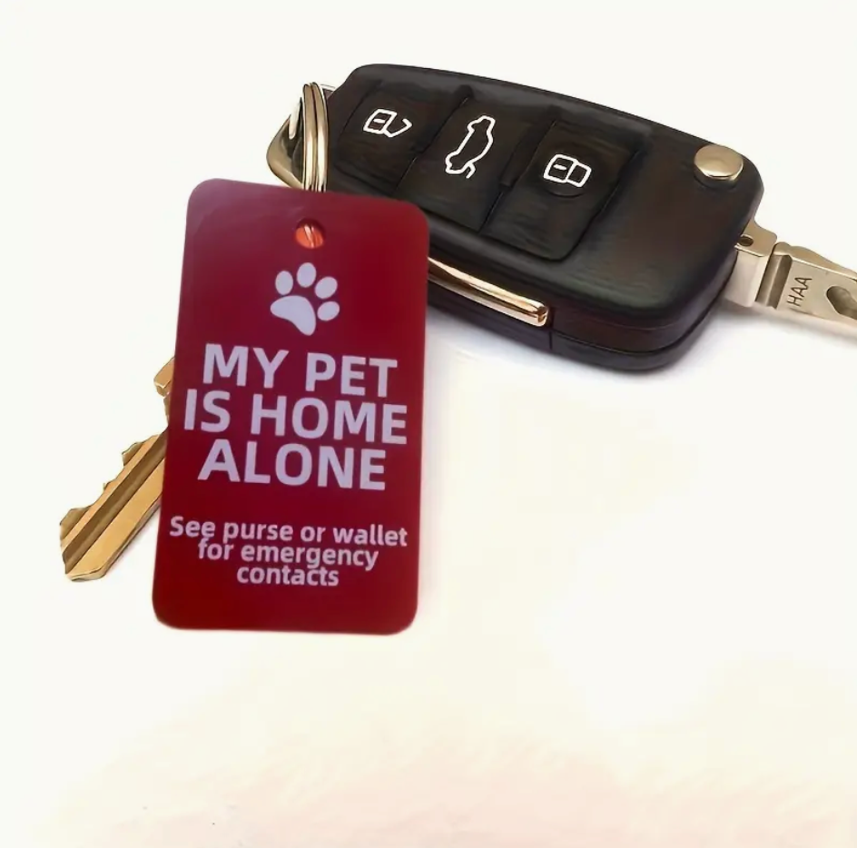 My pet is home alone