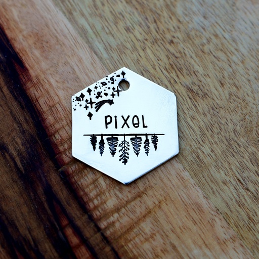 PIXEL
