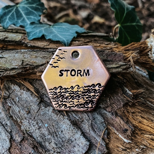 STORM