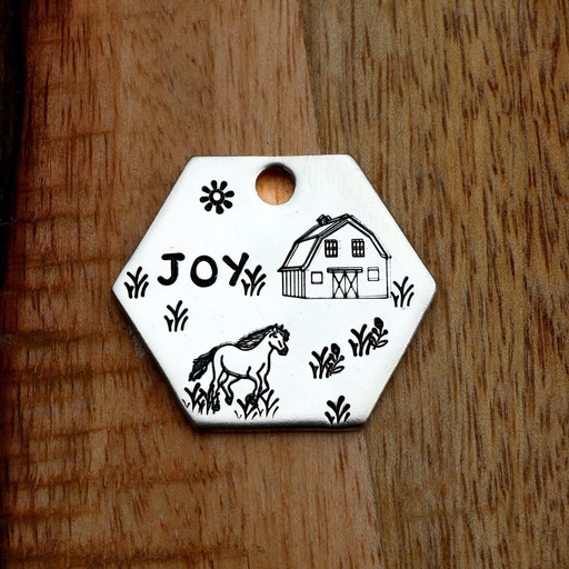JOY