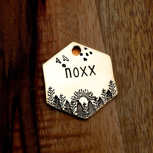 NOXX