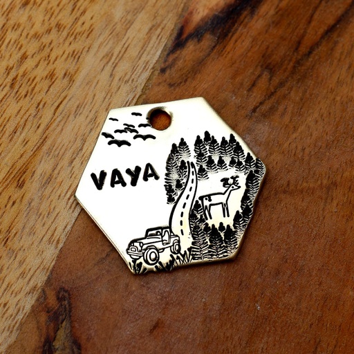 VAYA