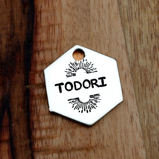 TODORI