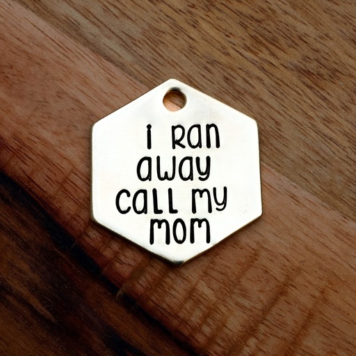 I RAN AWAY, CALL MY MOM