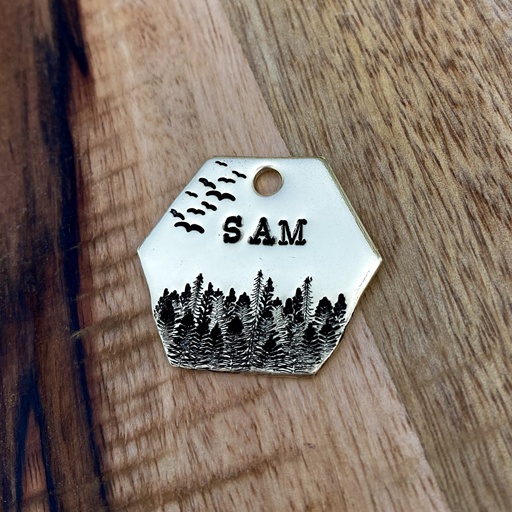 FOREST + BIRDS