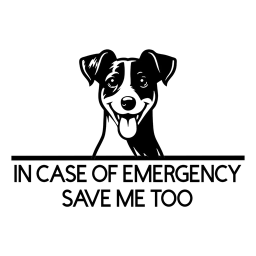 WINDOW ALERT STICKER